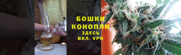 PSILOCYBIN Армянск