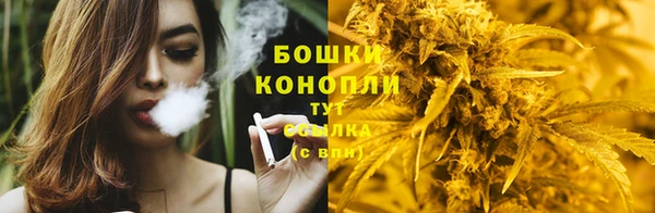шишки Алексин
