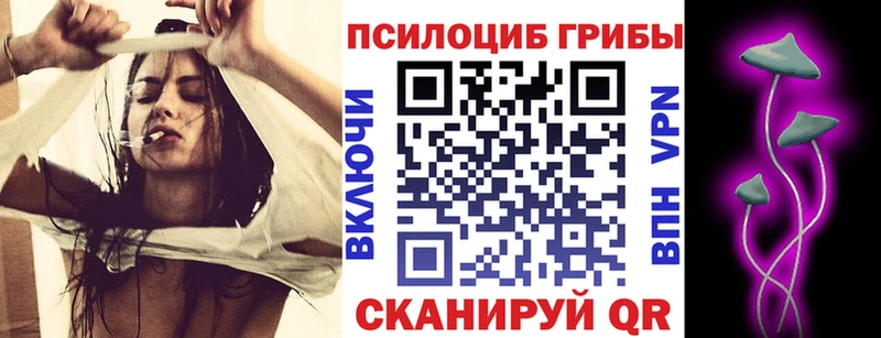 Галлюциногенные грибы Cubensis  дарнет шоп  Ступино 